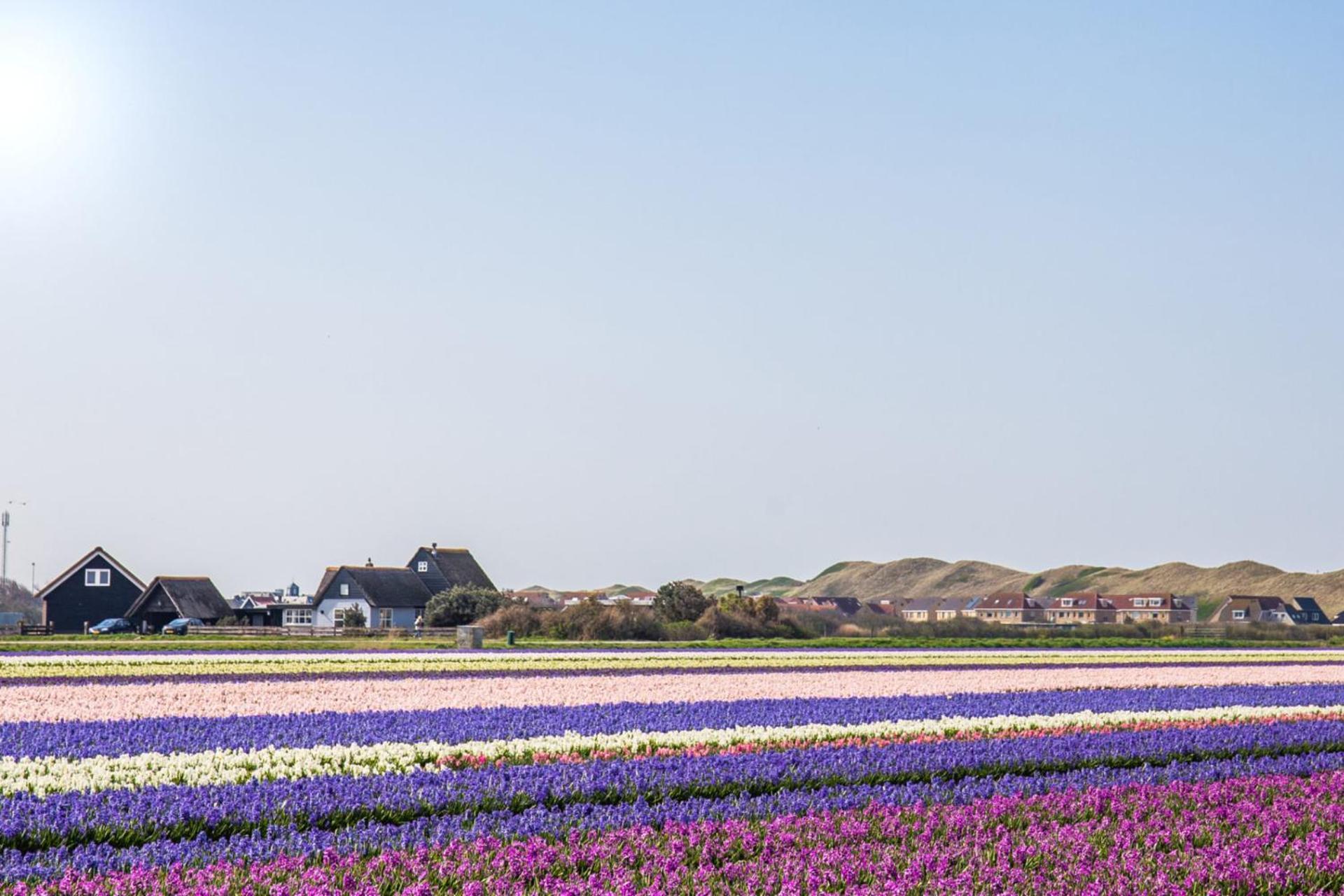 Vakantiehuis Zilt - Julianadorp Aan Zee エクステリア 写真